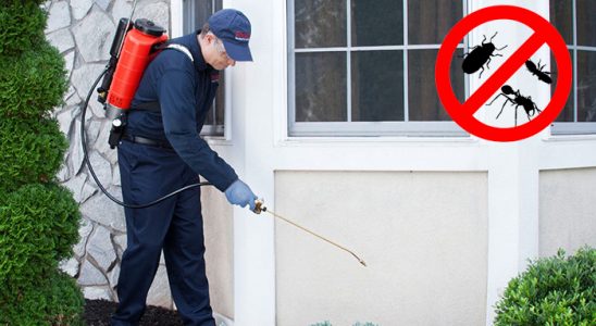 Başkale Akrep İlaçlama böcek ilaçlama ve haşere kontrolü — ilaclama-tr.com